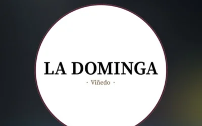 Viñedo La Dominga en la ruta del vino