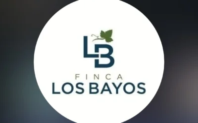 Finca Los Bayos en la ruta del vino
