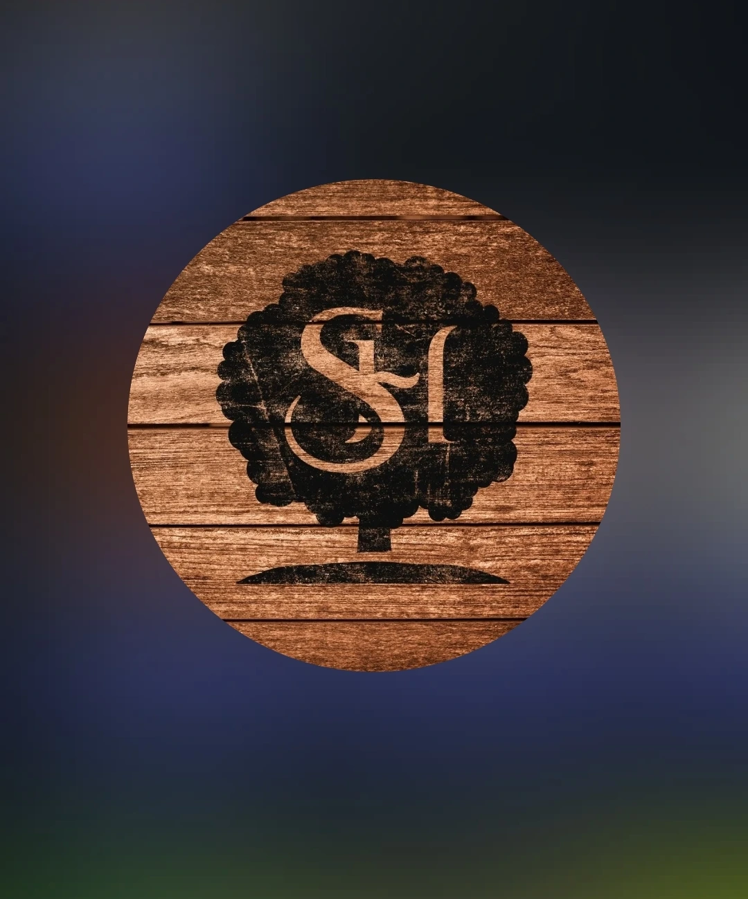 Logo de Bodega Siandra Hermanos