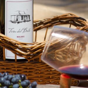 Canasto con vino de Finca Los Teros