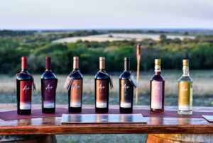 Imagen de vinos Ára en la Ruta del vino de Diamante