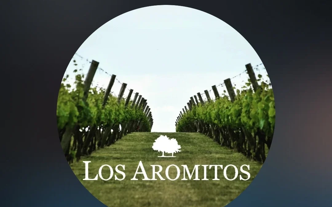 Viñedo Los Aromitos en la ruta del vino