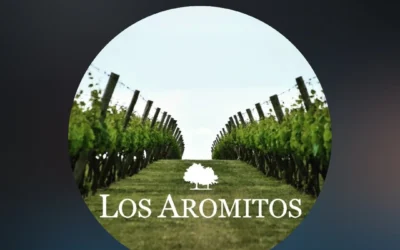 Viñedo Los Aromitos en la ruta del vino