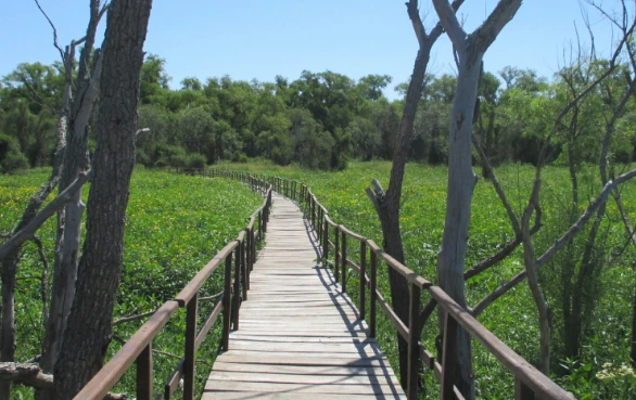 Parque del delta en Ruta del Vino Diamante