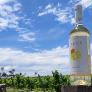 Vino Blanco de Bodega Altos del Palmar