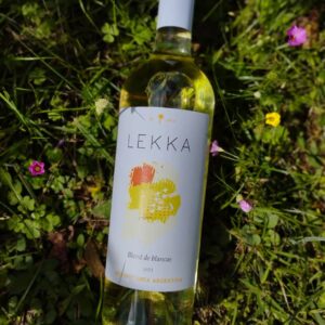 Vino blanco de Bodega Altos del Palamar