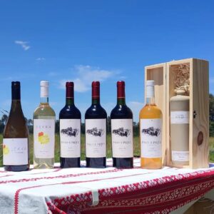 Vinitos de Bodega Altos del Palamar