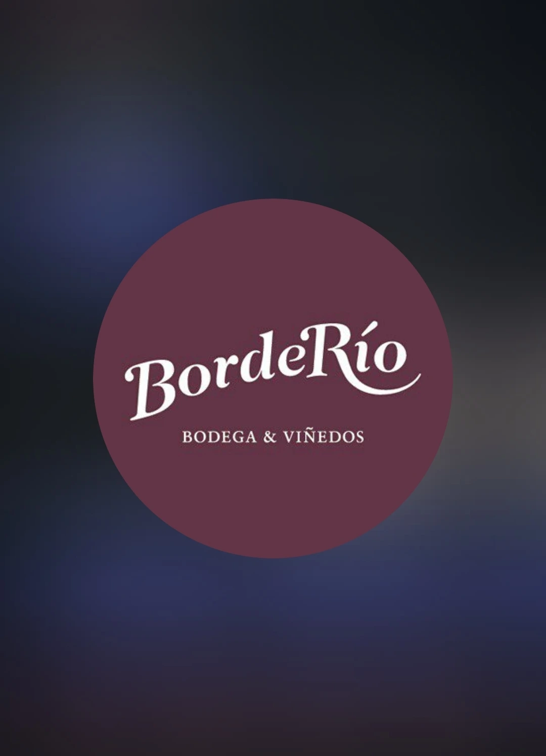 Borderio LOGO