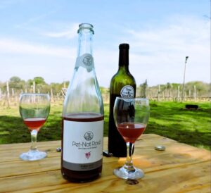 Video tinto de Viñas entrerrianas