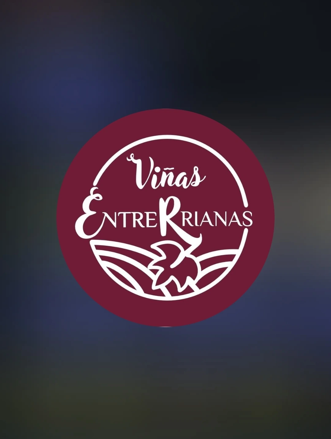 Logo de Viñas entrerrianas