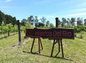 Cartelito de Viñedos del Río