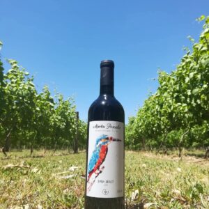 Vino tinto