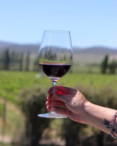 Copa de vino tinto de la bodega Saldungaray