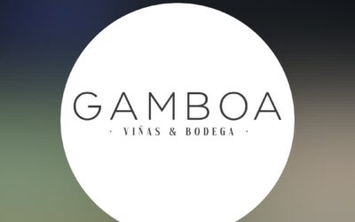 Bodega Gamboa en la ruta del vino