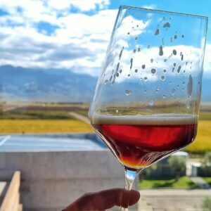 Foto de un vino
