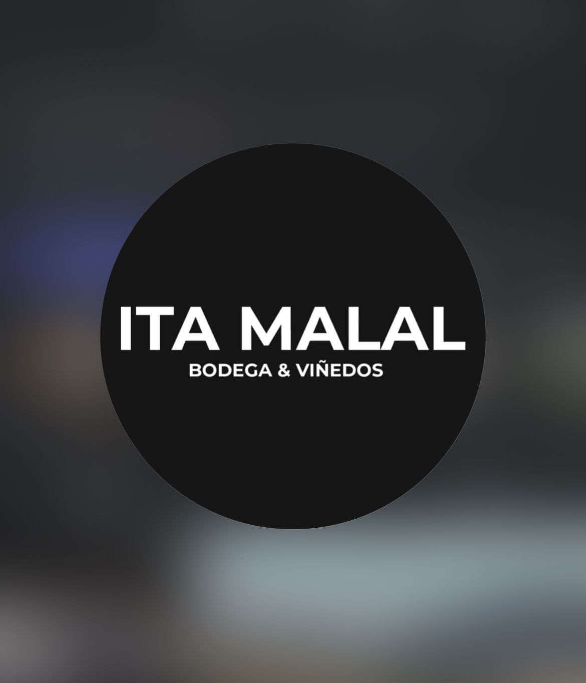 Logo de Ita Malal
