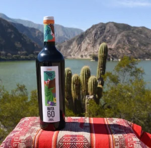 Vino tinto de Don Diego
