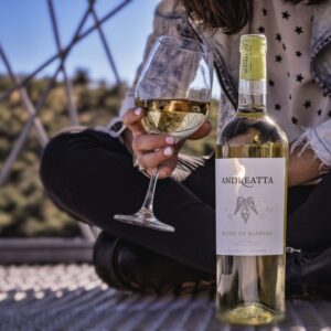 Vino tinto de la bodega Michango