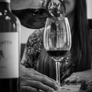 Vino de la bodega Michango