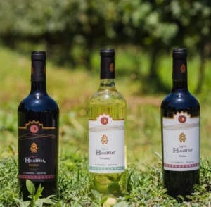 Vino de Municipalidad de Hualfin