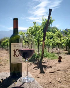 Vino tinto de Perro Guardian