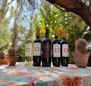 Vinos de la Bodega Perro Guardian