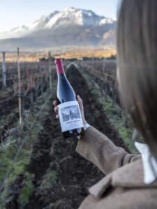 Patagonian Wines