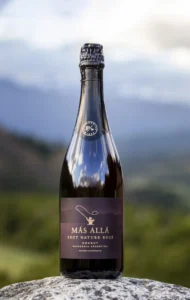 Patagonian Wines vino